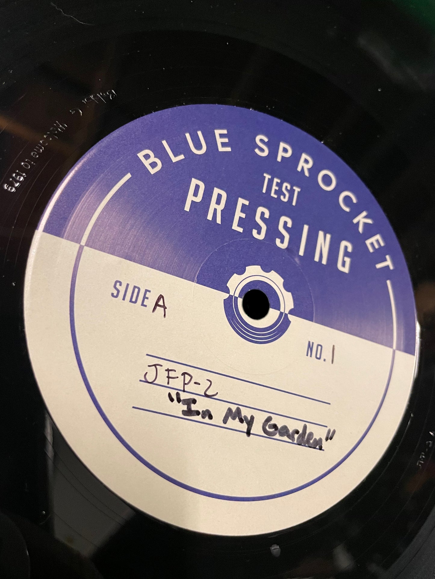 In My Garden Vinyl Test Pressing